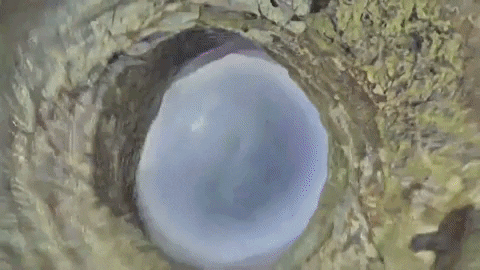 Wanderkid GIF by JW Francis