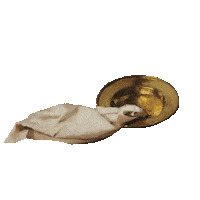 meet meetvermeer Sticker by Google Arts & Culture