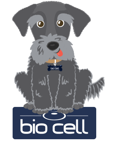 biocell giphyupload biocell celulastroncobiocell celulastronco Sticker