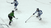 Black Bears GIF by Binghamton Black Bears