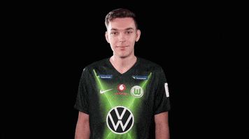 E Sports Sport GIF by VfL Wolfsburg
