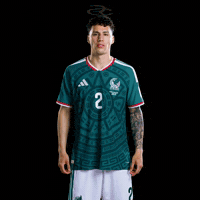 Fifa World Cup Mexico GIF by Respective