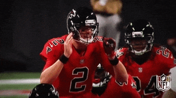 atlanta falcons football GIF by NFL