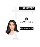 Ortal Kedar Sticker by Kourosh Kianijam - Compass