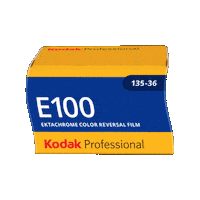 Film Photography Sticker by Kodak Professional