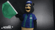 MISpeedway green flag waving nascar GIF