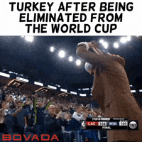 World Cup 2026 GIF by Bovada