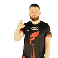 Celebration Goal Sticker by STARK ESPORTS