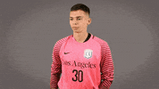 Mens Soccer GIF by Cal State LA Golden Eagles