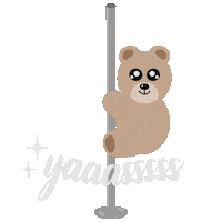 Teddy Bear Yas Sticker by shoplovetk