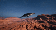 Mountain Whale GIF