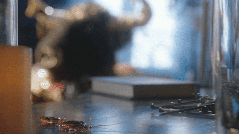 Season 6 Mask GIF by The Masked Singer
