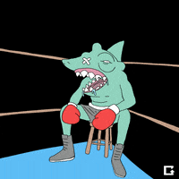 Fight Wwe GIF by gifnews