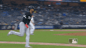 major league baseball sport GIF by MLB