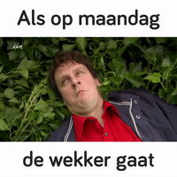 GIF by vrt