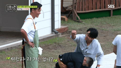 stevefrank1 giphyupload GIF