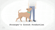 Dog Snl GIF by Saturday Night Live