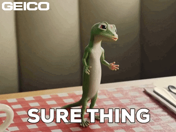 No Problem Of Course GIF by GEICO