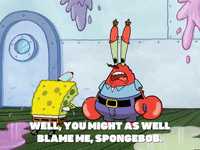 season 5 GIF by SpongeBob SquarePants