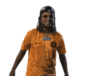 HuisVanOranje voetbal nederland holland oranje Sticker