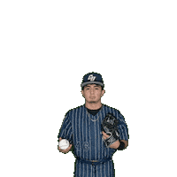 Clarke Baseball Sticker by Clarke University