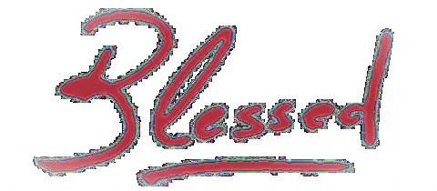 GIF by blessedstoreonline