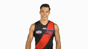 essendonfc bombers dons essendon essendon fc GIF