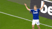 Football What GIF by FC Schalke 04