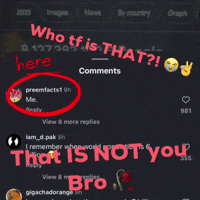 Who Tf Are You GIF