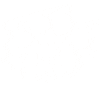 New Post Puppy Sticker by goliatandfriends