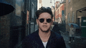 Nice To Meet Ya GIF by Niall Horan