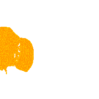 PapayaYoungDirectors papaya papayayoungdirectors papayayoungdirectors2020 pyd7 Sticker