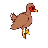Duck Waterfowl Sticker