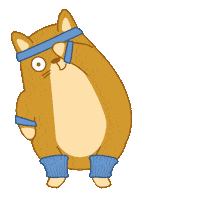 Cat Fitness Sticker by Share It Again