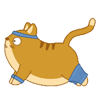 Cat Fitness Sticker by Share It Again