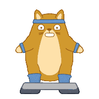 Cat Fitness Sticker by Share It Again