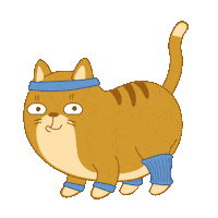 Cat Fitness Sticker by Share It Again
