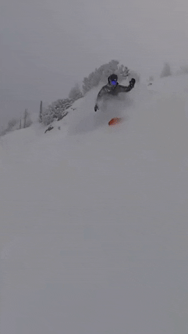 Snow Snowboarding GIF by Storyful