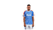 Football Soccer Sticker by Holstein Kiel