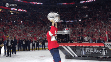 Stanley Cup Playoffs Win GIF by NHL