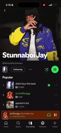 Spotify Ts GIF