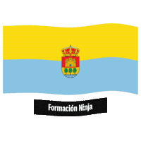 Castilla Y Leon Flag Sticker by Formación Ninja
