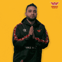 HawksTalonGC her this one yes you that one GIF