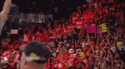 FanDuel sports football sport nfl GIF