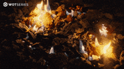 Wheeloftime GIF by WotSeries