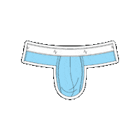 Underwear Sticker by Ven Label