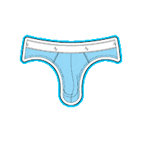 Underwear Sticker by Ven Label
