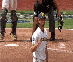 michigan baseball point GIF by Michigan Athletics