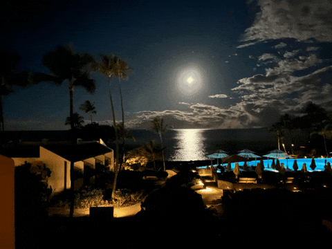 craigspiesman giphygifmaker giphyattribution GIF