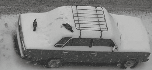 car snow GIF